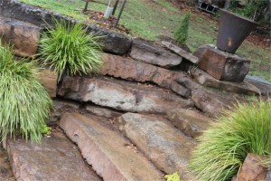 Mudstone Garden   