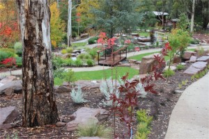 Mudstone Garden   