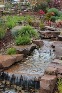 Mudstone Garden   